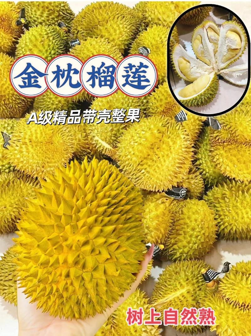 金枕榴莲降价300多,金枕榴莲22元一斤贵吗