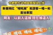 新澳天天彩2025芳草地和车钥匙逗猴被猴抢走与猴子车钥匙