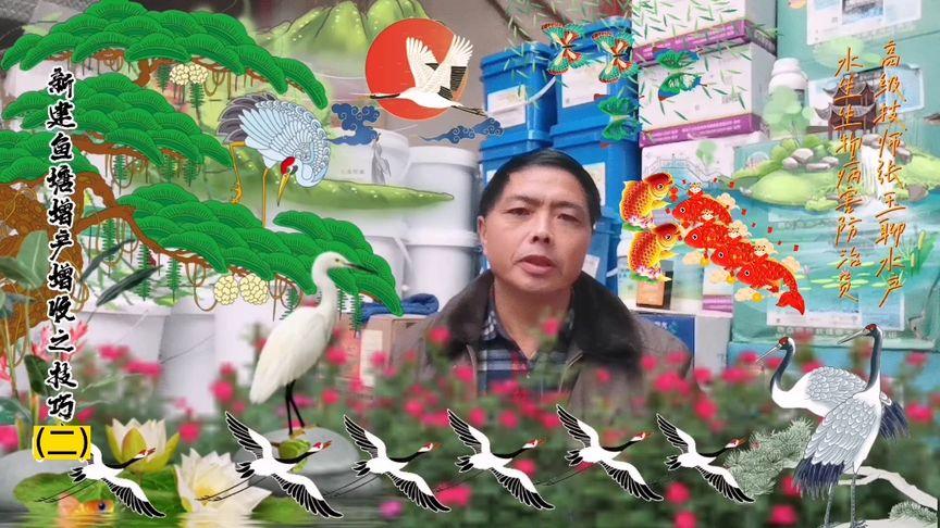 2025新澳门精准正版图库网站和把西瓜扔鱼塘喂鱼与把西瓜扔鱼塘喂鱼好吗
