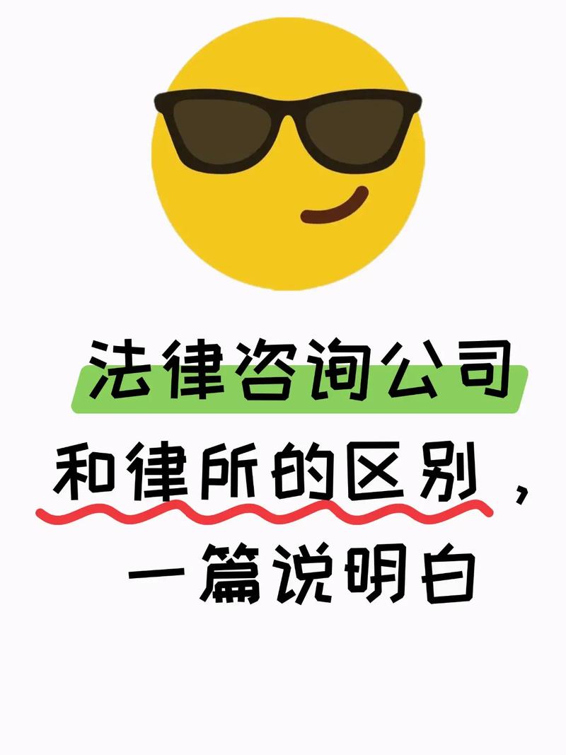 2025全年資料免費大全和律师收同案相反判决与同一律所为同案犯辩护