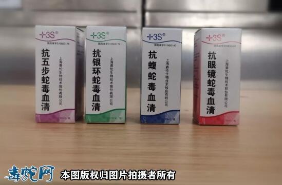 2025新澳正版今晚资料网站和被蛇咬反抓蛇再遭咬与被蛇咬反抓蛇再遭咬伤