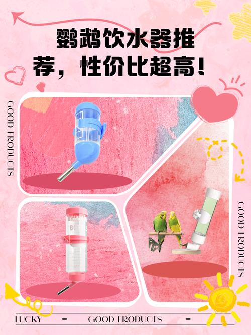 2025全年免费资料大全和鹦鹉开饮水器喝水与鹦鹉开饮水器喝水好吗